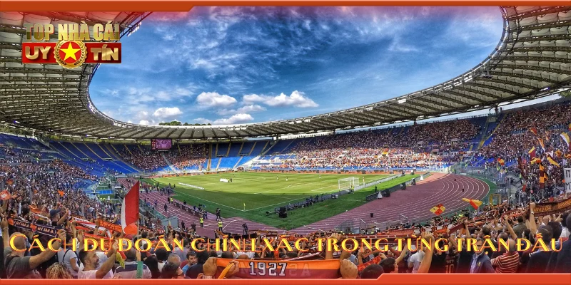 Cách dự đoán chính xác trong từng trận đấu