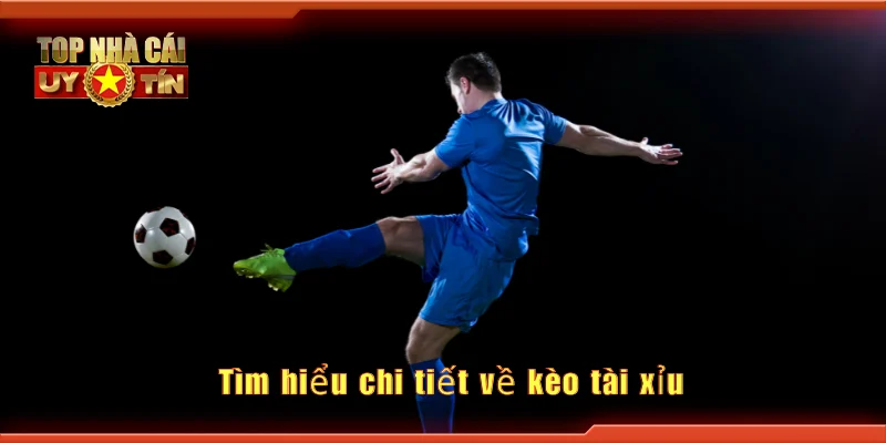 Tìm hiểu chi tiết về kèo tài xỉu