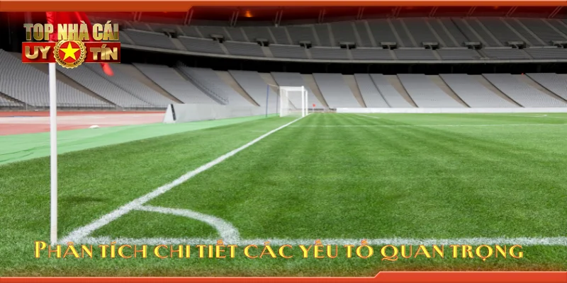 Phân tích chi tiết các yếu tố quan trọng