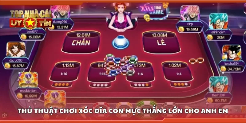 Thủ thuật chơi xóc đĩa con mực thắng lớn cho anh em