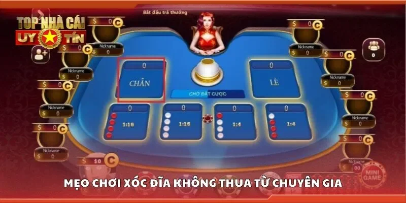 Mẹo chơi xóc đĩa không thua từ chuyên gia