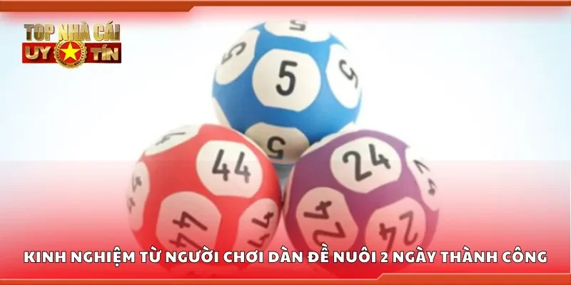 Kinh nghiệm từ người chơi dàn đề nuôi 2 ngày thành công