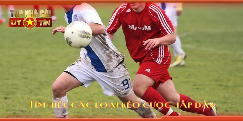 Tìm hiểu các loại kèo cược hấp dẫn