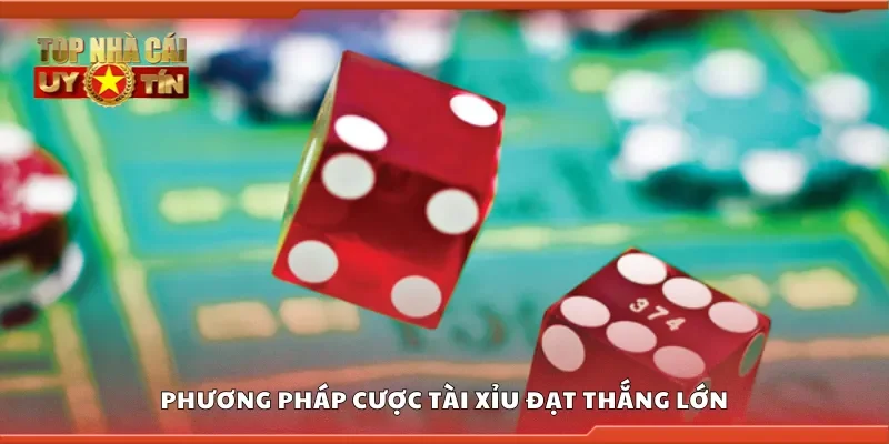 Phương pháp cược tài xỉu đạt thắng lớn
