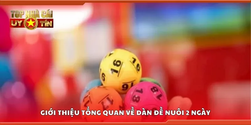Giới thiệu tổng quan về dàn đề nuôi 2 ngày