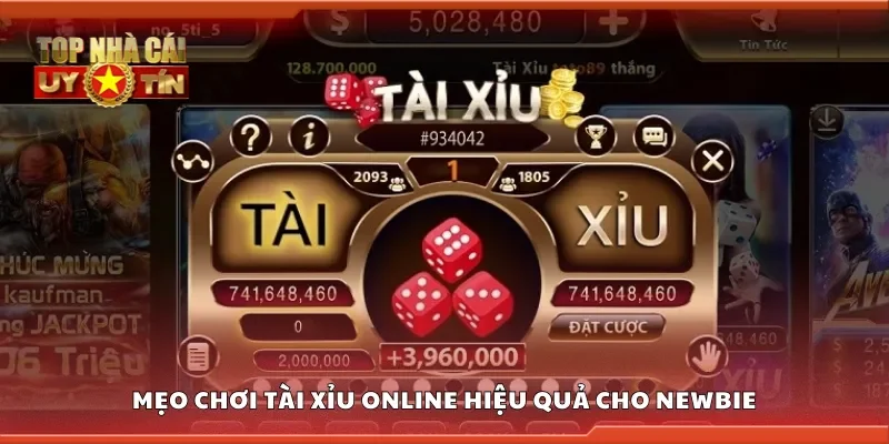 Chia sẻ mẹo chơi tài xỉu online hiệu quả cho newbie