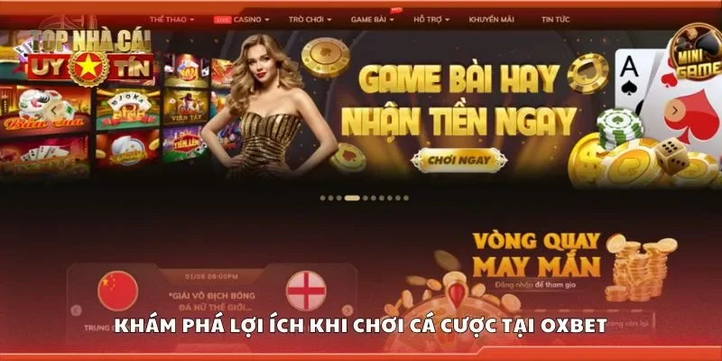 Khám phá lợi ích khi chơi cá cược tại Oxbet