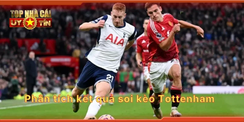 Phân tích kết quả soi kèo Tottenham