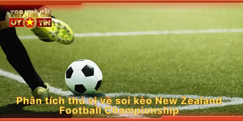 Phân tích thú vị về soi kèo New Zealand Football Championship