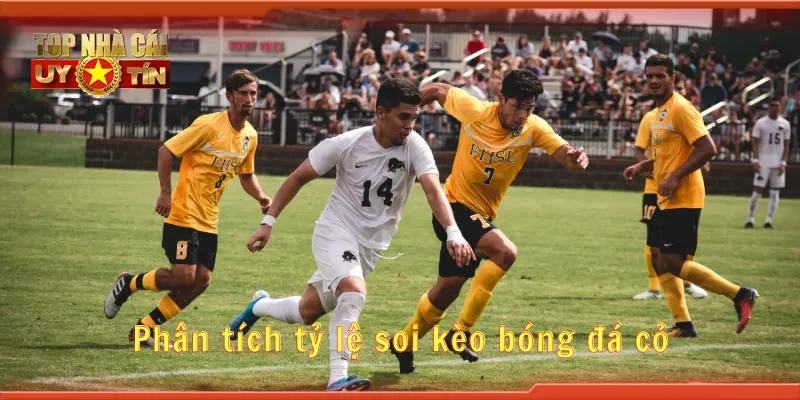 Phân tích tỷ lệ soi kèo bóng đá cỏ
