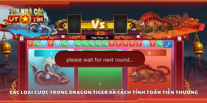Các loại cược trong dragon tiger và cách tính toán tiền thưởng
