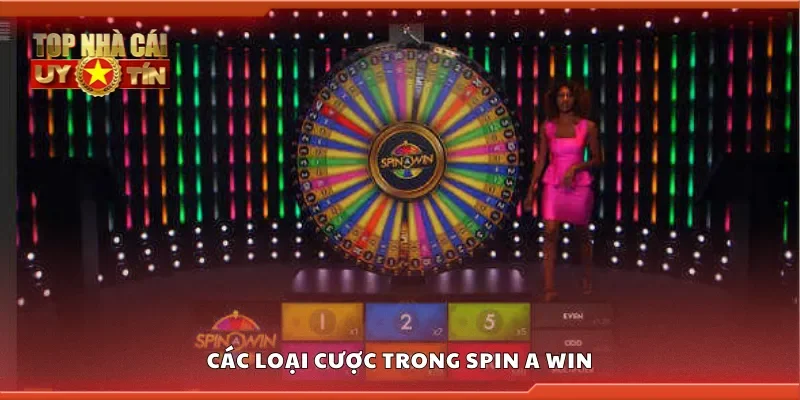 Một số loại cược trong Spin a Win