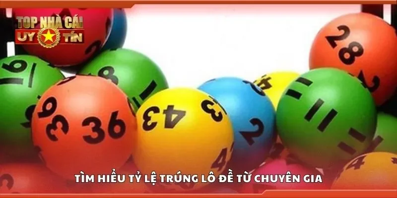 Tìm hiểu tỷ lệ trúng lô đề từ chuyên gia