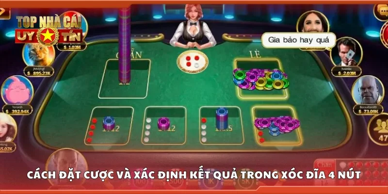 Cách đặt cược và xác định kết quả trong xóc đĩa 4 nút
