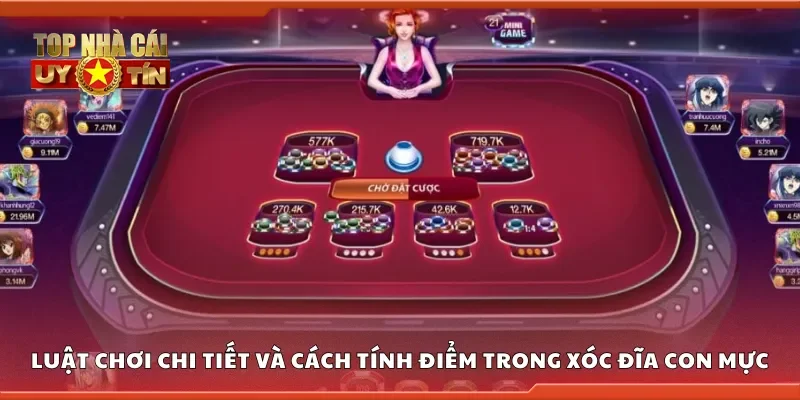 Khám phá luật chơi và cách tính điểm trong xóc đĩa con mực