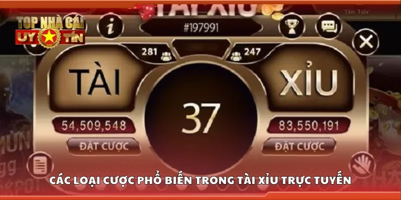 Các loại cược phổ biến trong tài xỉu trực tuyến