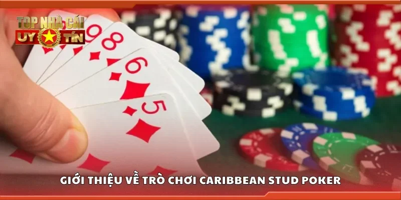Giới thiệu về trò chơi caribbean stud poker