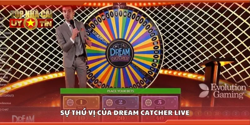 Sự thú vị của dream catcher live