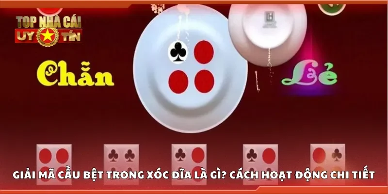 Giải mã cầu bệt trong xóc đĩa là gì? Cách hoạt động chi tiết