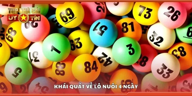 Khái quát về lô nuôi 4 ngày