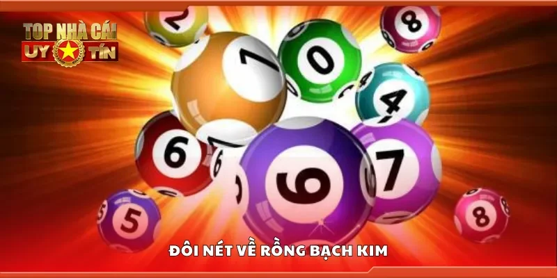 Đôi nét về rồng bạch kim