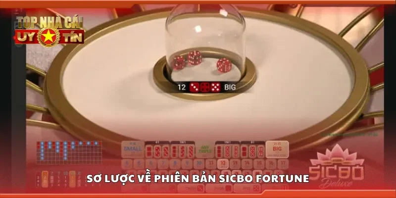 Sơ lược về phiên bản sicbo fortune