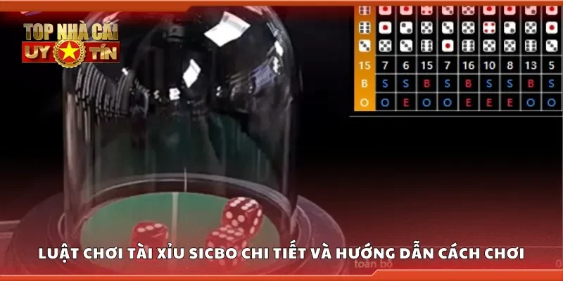Luật chơi tài xỉu sicbo chi tiết và hướng dẫn cách chơi