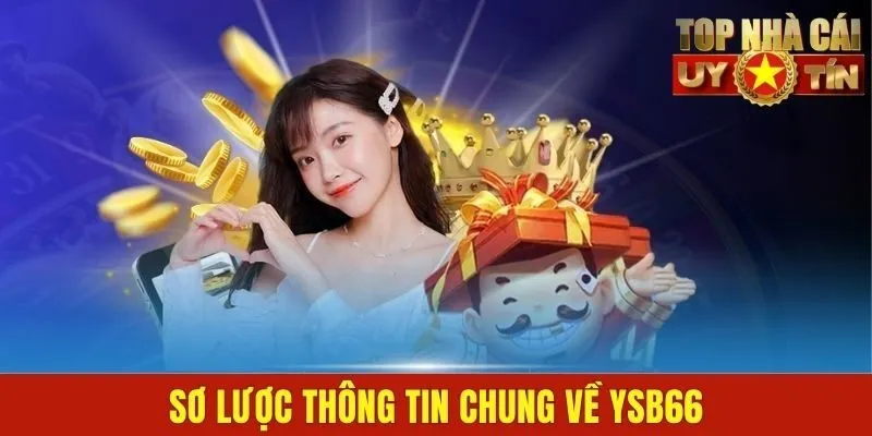 Sơ lược thông tin chung về YSB66