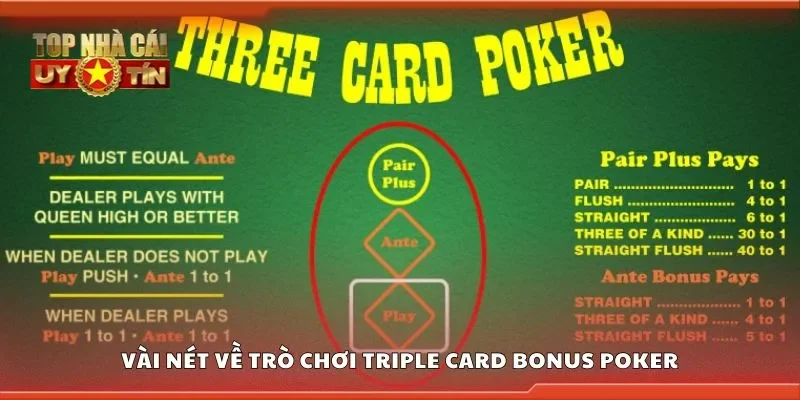 Vài nét về trò chơi triple card bonus poker