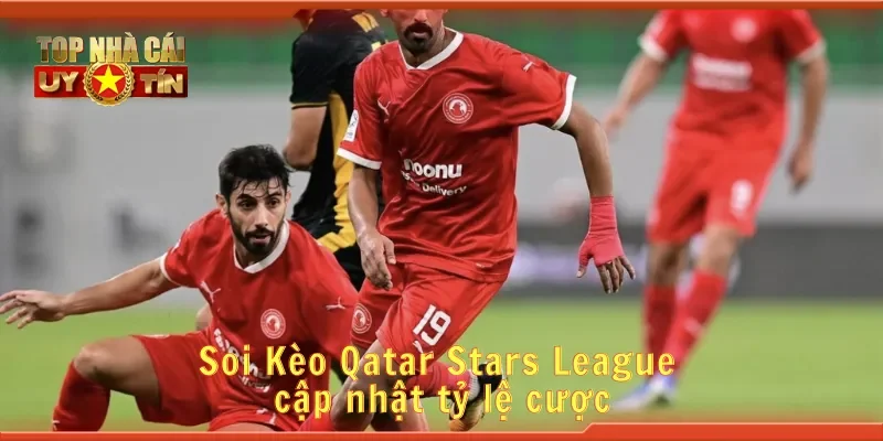 Soi Kèo Qatar Stars League cập nhật tỷ lệ cược