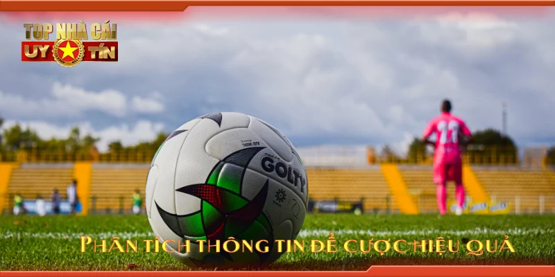 Phân tích thông tin để cược hiệu quả