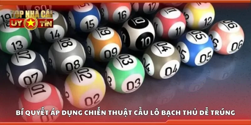 Bí quyết áp dụng chiến thuật cầu lô bạch thủ để dễ trúng hơn