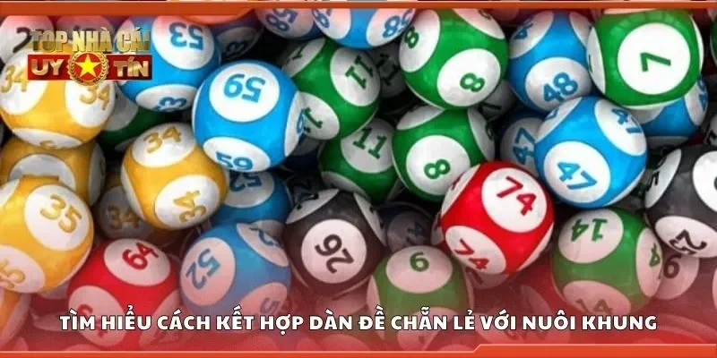 Tìm hiểu cách kết hợp dàn đề chẵn lẻ với nuôi khung