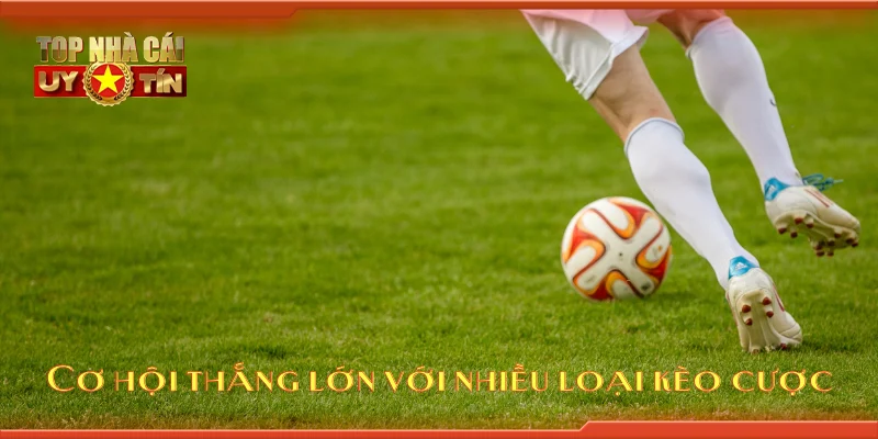 Cơ hội thắng lớn với nhiều loại kèo cược