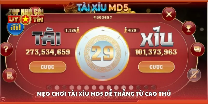 Mẹo chơi tài xỉu MD5 dễ thắng từ cao thủ