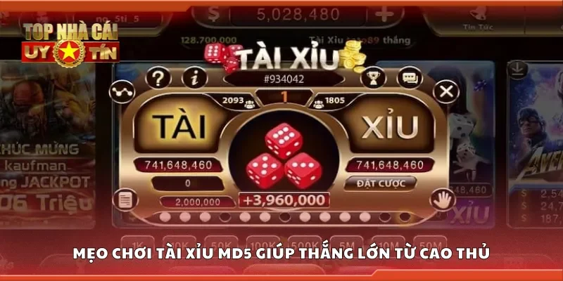 Mẹo chơi tài xỉu MD5 giúp thắng lớn từ cao thủ