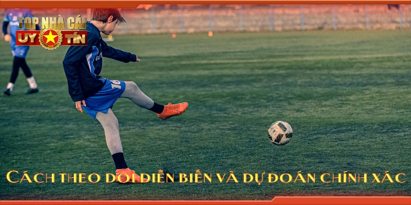 Cách theo dõi diễn biến và dự đoán chính xác