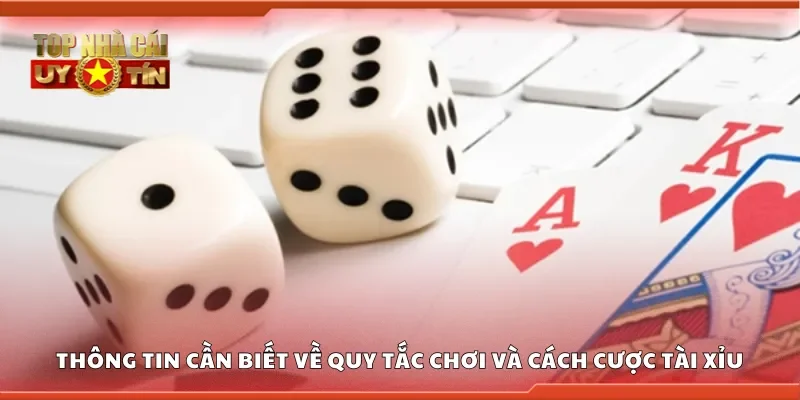 Thông tin cần biết về quy tắc chơi và cách cược tài xỉu