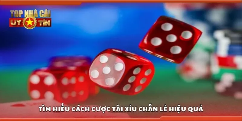 Tìm hiểu cách cược tài xỉu chẵn lẻ hiệu quả