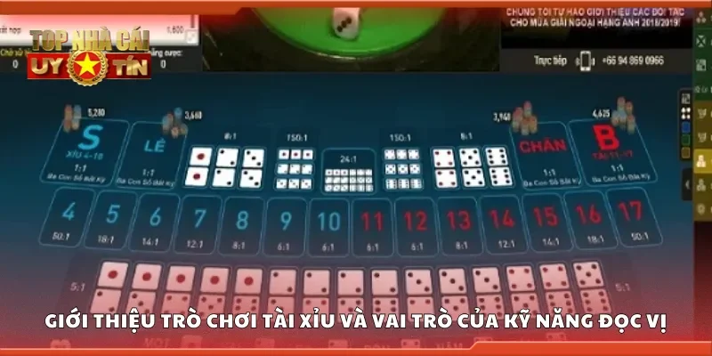 Giới thiệu trò chơi tài xỉu và vai trò của kỹ năng đọc vị