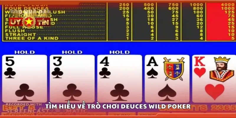 Tìm hiểu về trò chơi Deuces Wild Poker