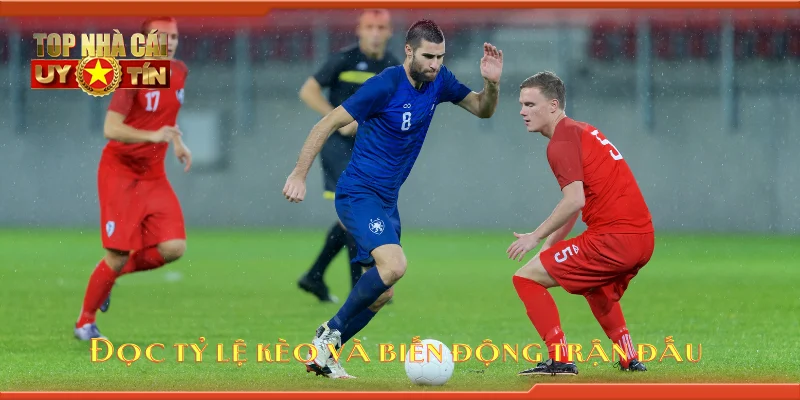 Đọc tỷ lệ kèo và biến động trận đấu