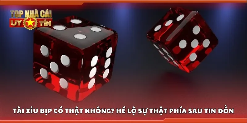 Tài xỉu bịp có thật không? Hé lộ sự thật phía sau tin đồn