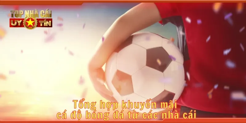 Tổng hợp khuyến mãi cá độ bóng đá từ các nhà cái