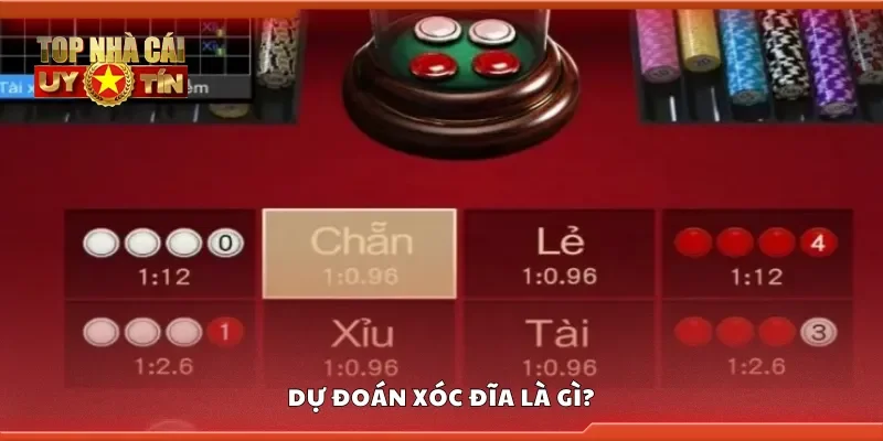 Dự đoán xóc đĩa là gì?