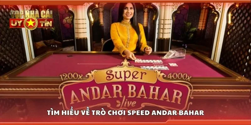 Tìm hiểu về trò chơi speed andar bahar