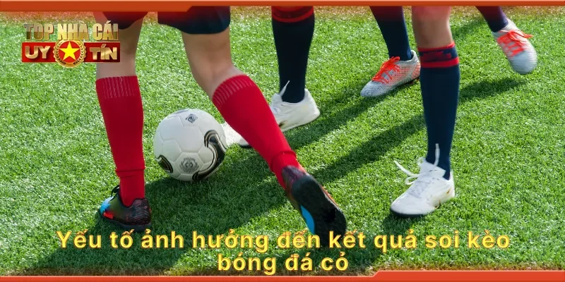 Yếu tố ảnh hưởng đến kết quả soi kèo bóng đá cỏ