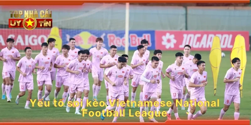 Yếu tố soi kèo Vietnamese National Football League